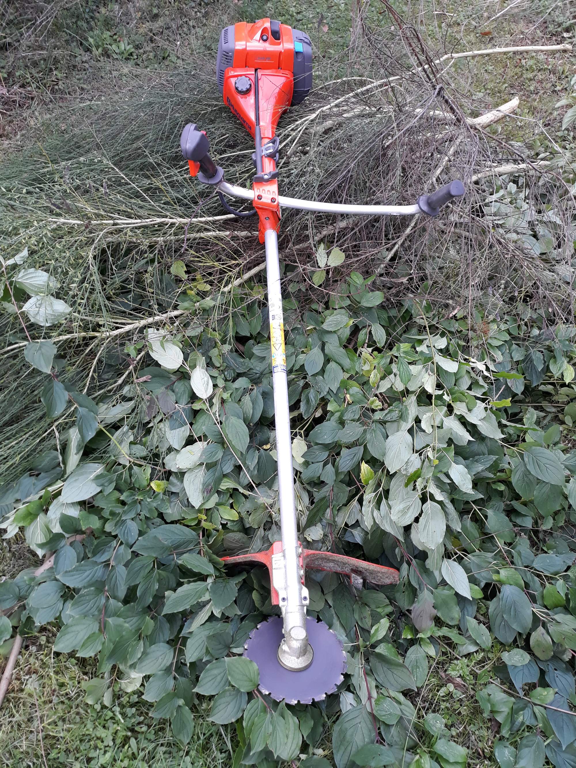 Freischneiden von Grundstücken mit Zurückschneiden oder Entfernung von Büschen und Sträuchern Bild vom Freischneiden von Grundstücken mit Zurückschneiden oder Entfernung von Büschen und Sträuchern