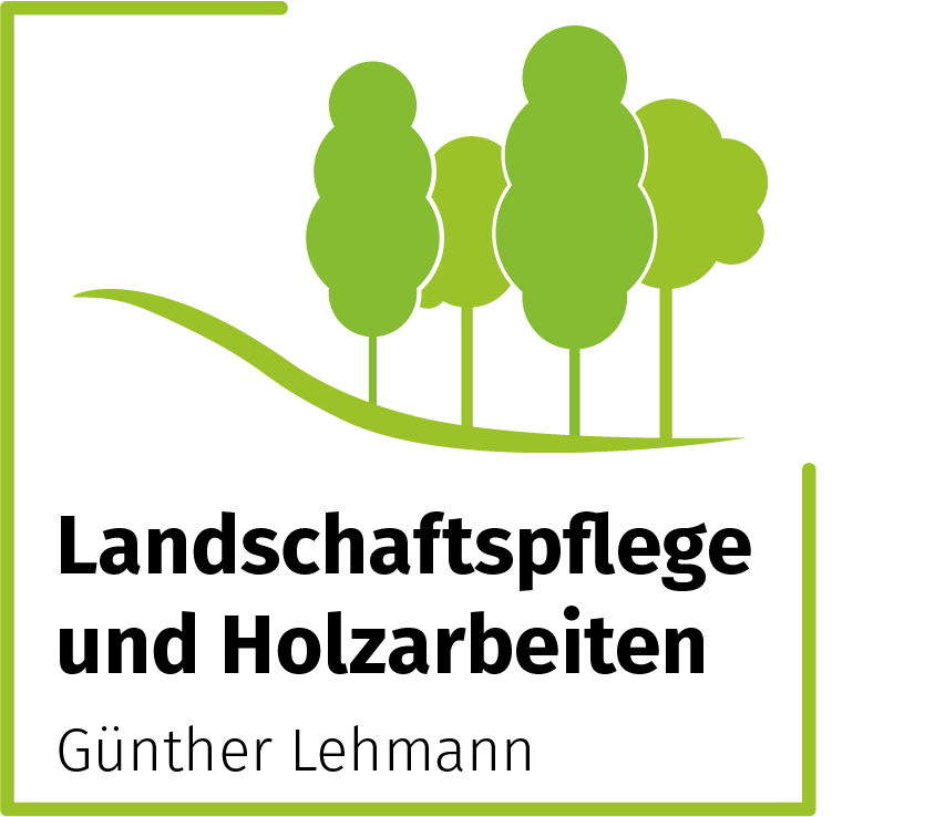 TYPO3 CMS - Introduction Package logo